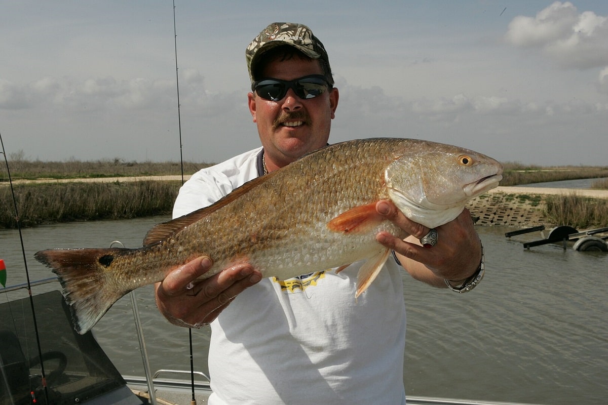 a happy saltwater angler holding a big red drum fish