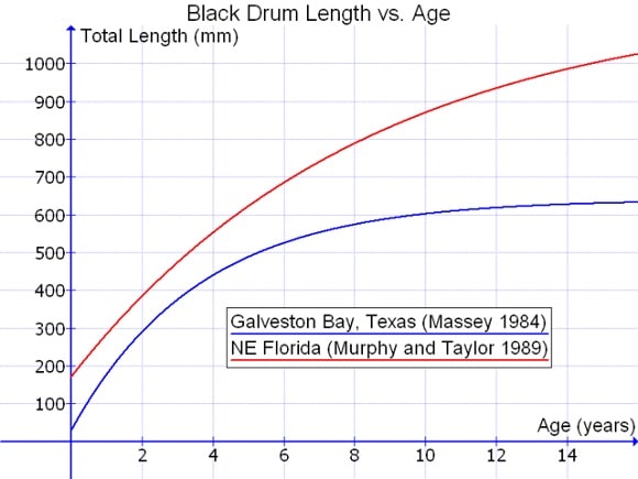 a length vs age diagram of black drums