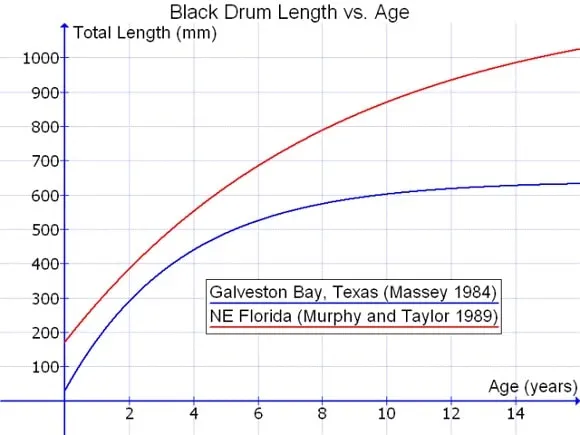 a length vs age diagram of black drums