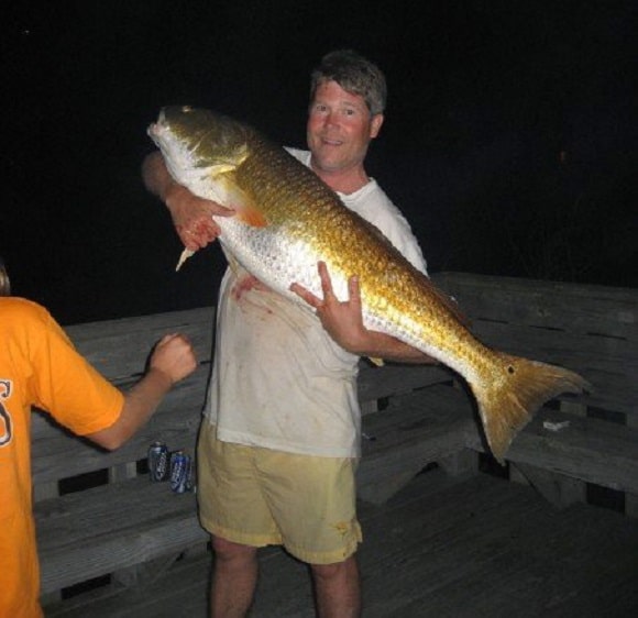 a florida saltwater angler holding a huge red drum