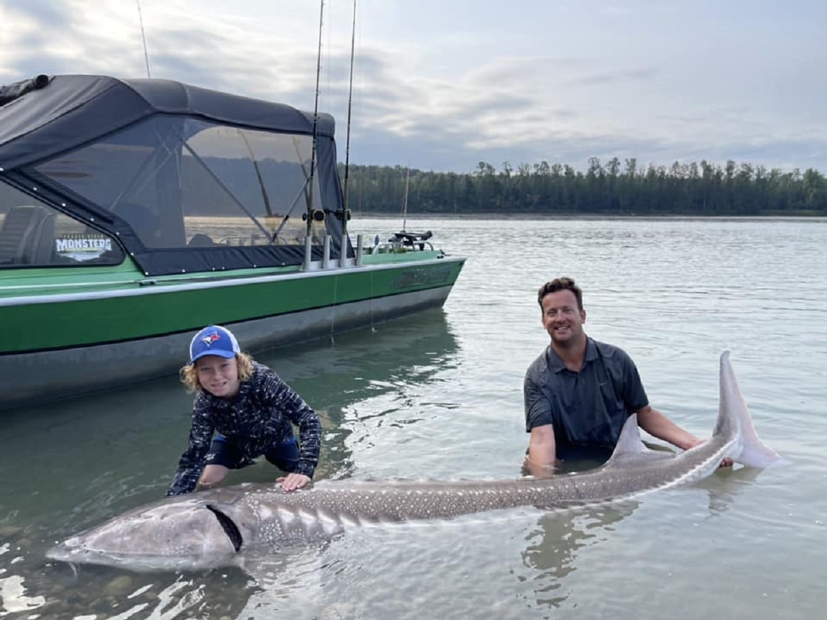 a father and his son fishing for giant white sturgeon on the fraser river