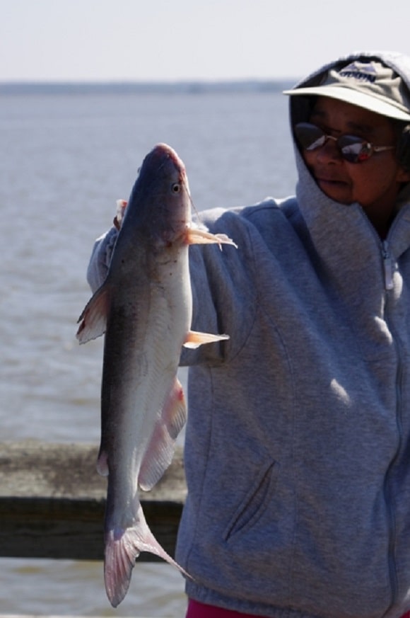 a female angler on a pier holding a juvenile blue catfish