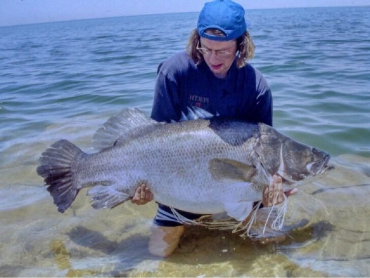 How Big Do Nile Perch Get? (Average and Maximum Size)