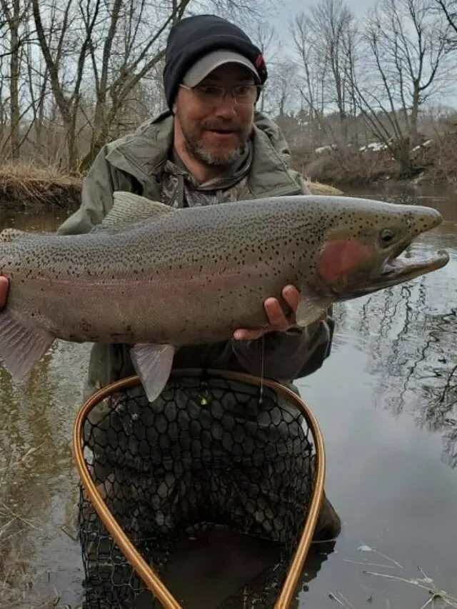 Best Fishing Reports for the Salmon River