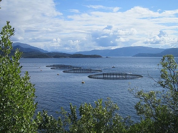 an image of a salmon aqua farm in normway