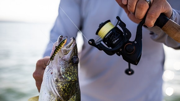 a close up of an angler fishing with the piscifun carbon x for walleye