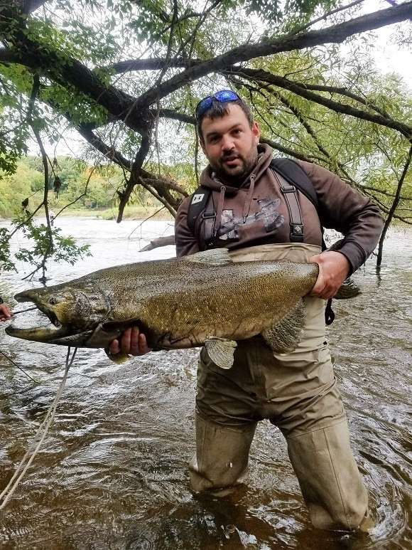 a US angler on a river holding a really big chinook salmon that he has caught with a spinning reel