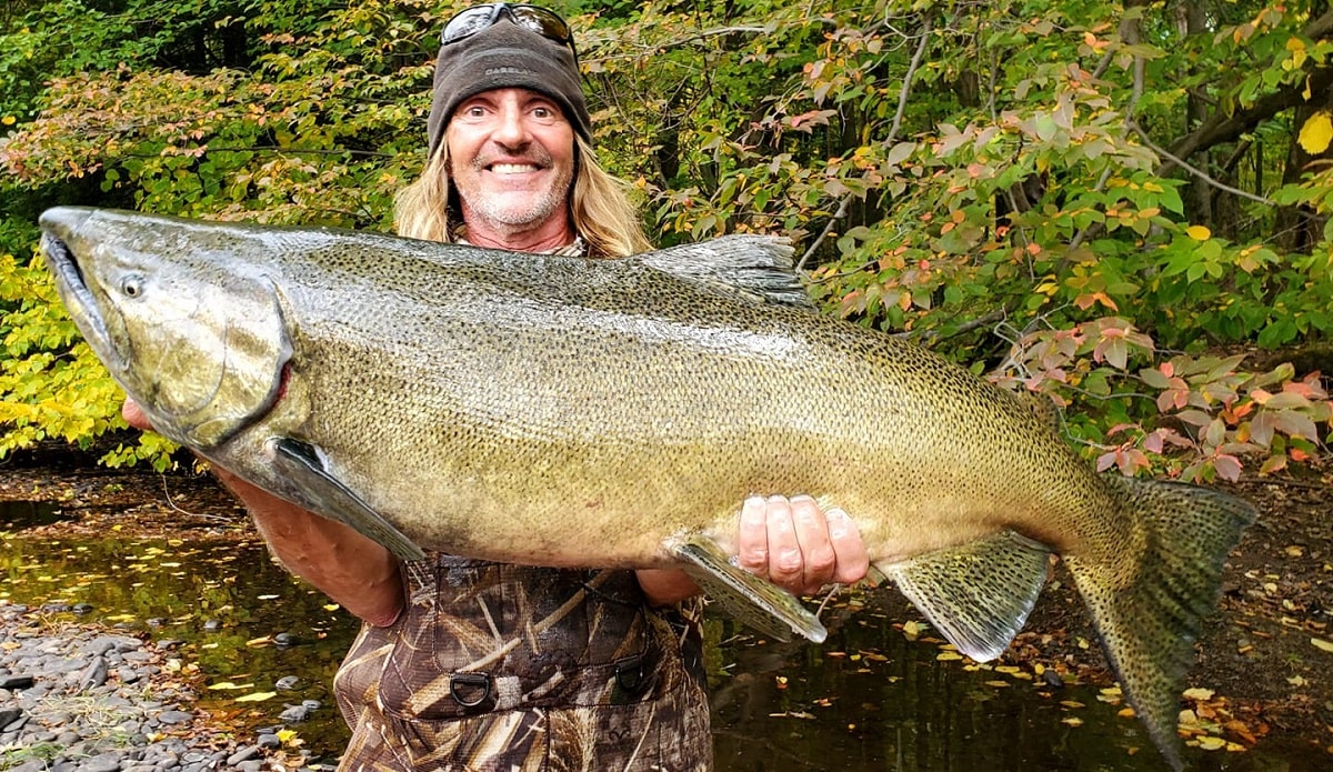 a happy salmon angler on a river holding a giant king salmon