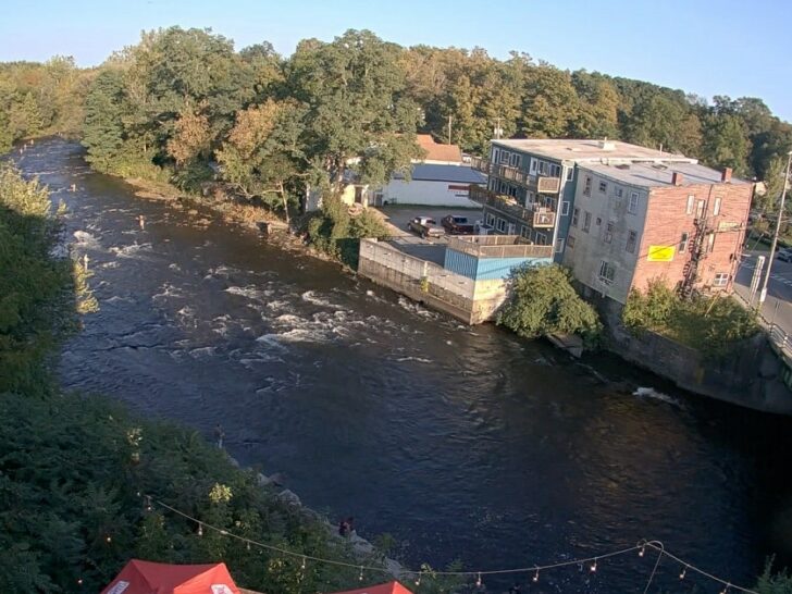 The Salmon River Webcam Feed (Everything You Need to Know)