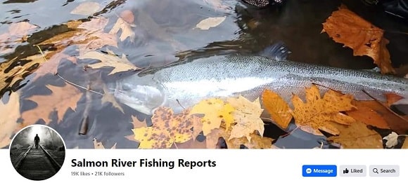 a screenshot of the salmon river fishing report facebook page