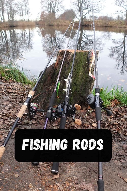 the fishing rods section of strike and catch