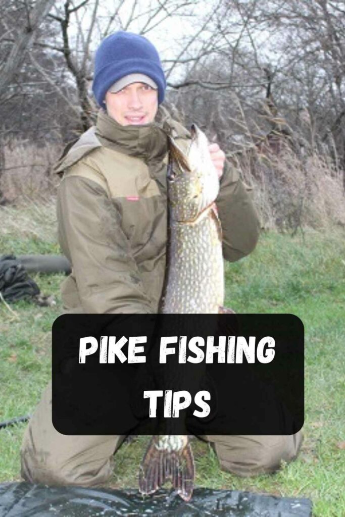 pike fishing tips category card