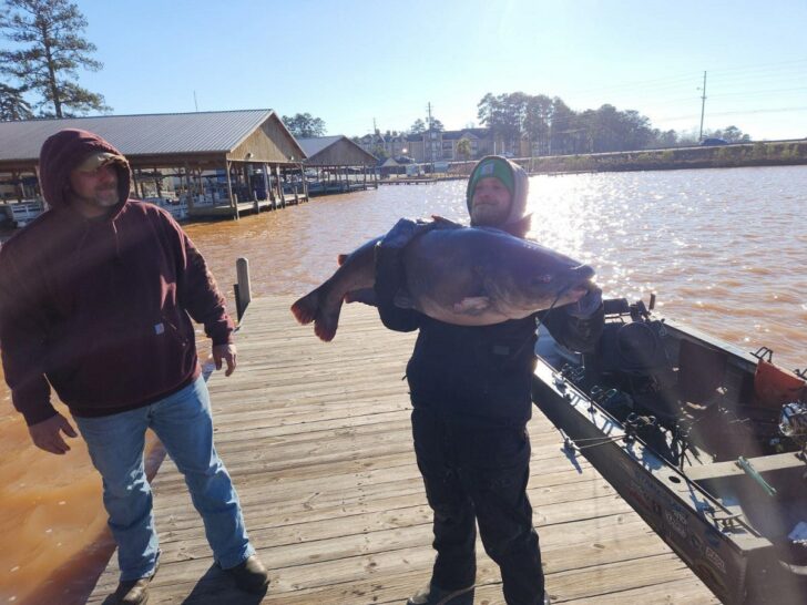 Georgia Angler Almost Breaks Lake Sinclair Blue Catfish Record