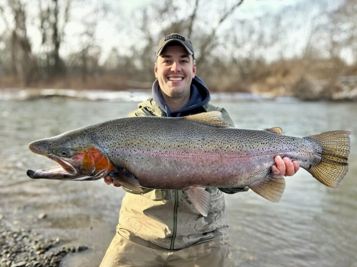 Angler Catches Massive Lake Ontario Trib Winter Steelhead