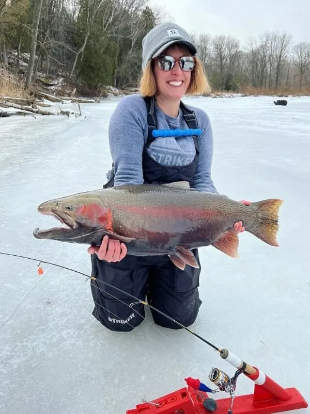 Angler Catches Massive Steelhead Through the Ice